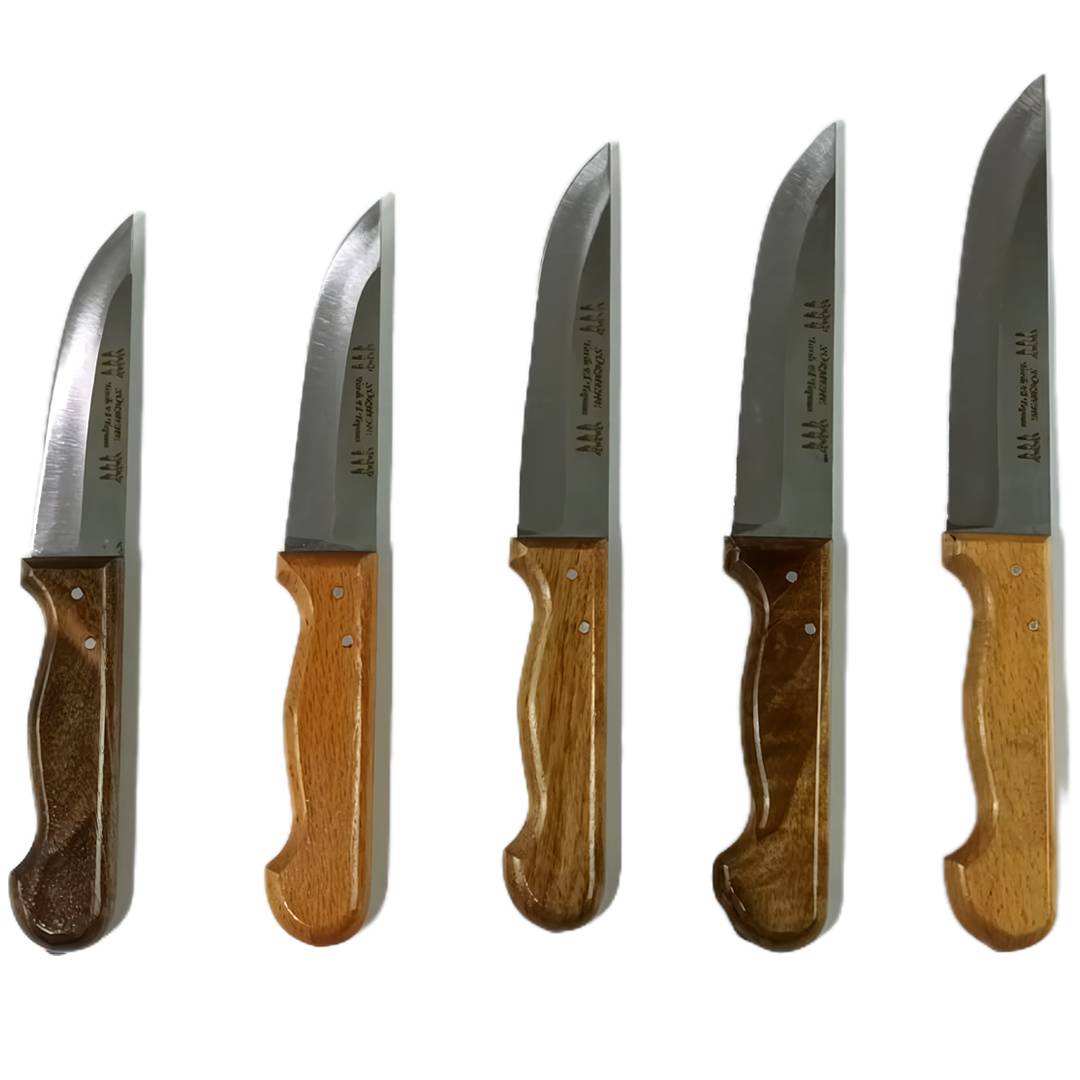 Premium PH-EA024 Paslanmaz Çelik 5 li Kasap Ve Mutfak Bıçağı Seti